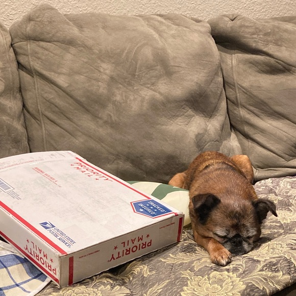 Meet your Posher, Annie - Picture 3 of 3